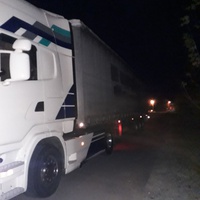 photo de livraison pour Antonia Save Animals