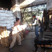 photo de livraison pour Pro Animals Finland ry