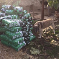 photo de livraison pour Udruženje za zaštitu životinja "Pongo"