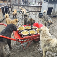 photo de livraison pour Svetlana Bjelogrlic