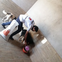 photo de livraison pour L'Arche de Noé