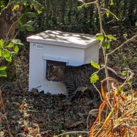 photo de livraison pour Adoption Féline Estuaire