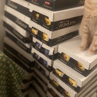 photo de livraison pour Chats-sos