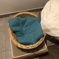 photo de livraison pour Les Chats Libres Condom 32