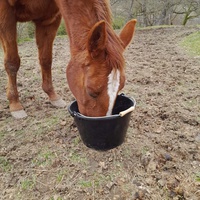photo de livraison pour Les Crinières de Salherm