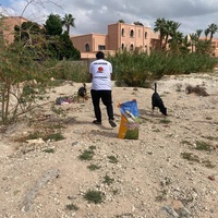photo de livraison pour L'Arche de Noé