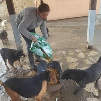 photo de livraison pour ПРИХВАТИЛИШТЕ ДРАЖЕВАЦ