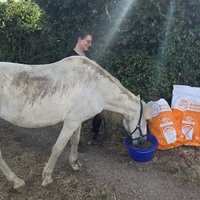 photo de livraison pour La Retraite des Chevaux des Causses