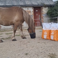 photo de livraison pour À l'Équi-Libre