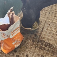 photo de livraison pour La Petite Ferme d'Aventure