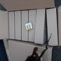 photo de livraison pour Les Pattes de l'Espoir 