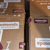 photo de livraison pour Lezard