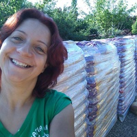 photo de livraison pour Antonia Save Animals