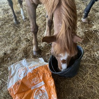 photo de livraison pour Espoir au Galop