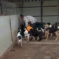 photo de livraison pour Associtia Axi Hope Romania