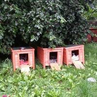 photo de livraison pour Chaperlipopette 77