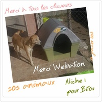 photo de livraison pour SOS Animaux Tunisie