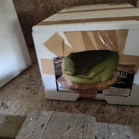 photo de livraison pour Les Mimichats