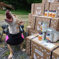 photo de livraison pour Raggie Dog Retreat