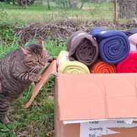 photo de livraison pour Contrôle & Protection des Chats Andréens