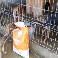 photo de livraison pour Sammelstelle für Tiere in Not e.V.