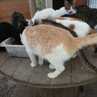 photo de livraison pour HELP