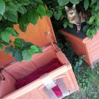 photo de livraison pour Chaperlipopette 77