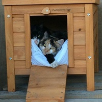 photo de livraison pour Chaperlipopette 77
