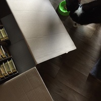photo de livraison pour Les Chats Libres Condom 32