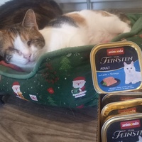 photo de livraison pour Les Pattounes de l'Espoir