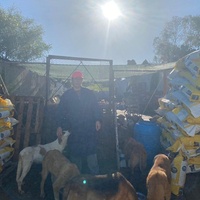 photo de livraison pour ADAN TETOUAN