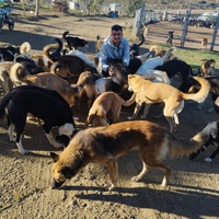 photo de livraison pour Sanctuaire de la Faune de Tanger (SFT)
