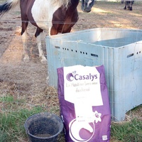 photo de livraison pour Equi-Libre : Droit à la Retraite Equine
