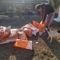 photo de livraison pour Innocente