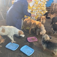 photo de livraison pour ADAN TETOUAN