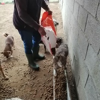 photo de livraison pour Mariuta
