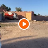 photo de livraison pour Le Coeur sur la Patte