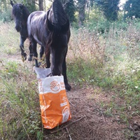 photo de livraison pour Happy Horse Day