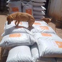 photo de livraison pour Help Adopt Moroccan Animals