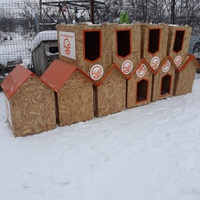 photo de livraison pour Refuge pour chiens de Baia Mare
