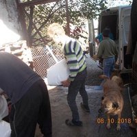 photo de livraison pour Pro Animals Finland ry