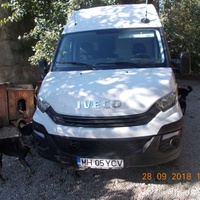 photo de livraison pour Pro Animals Finland ry