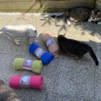 photo de livraison pour SADF (Sauvetage des animaux domestiques de France)