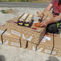 photo de livraison pour Roses et Bandanas