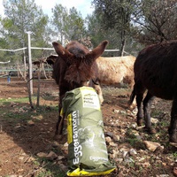 photo de livraison pour Equi-Vivre