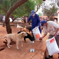 photo de livraison pour UMPA
