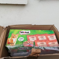 photo de livraison pour L'Ecole du Chat du Mirail