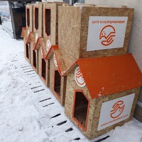 photo de livraison pour Refuge pour chiens de Baia Mare