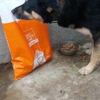 photo de livraison pour Speranta Pentru Animale