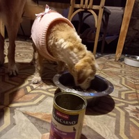 photo de livraison pour AVRAH